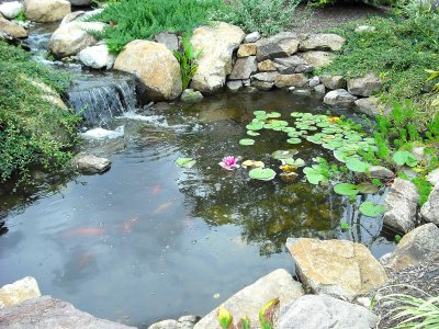 One of the Beautiful Ponds in the Village