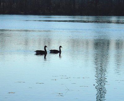 Last Residents Of The Lake