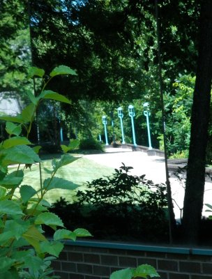 Reflection of Lamp Posts
