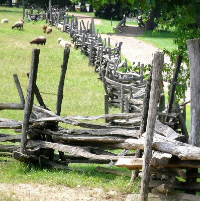 Unusual Fence At Howell Farm