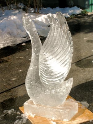 Icy Swan
