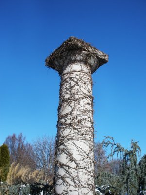 Viney Column