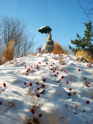 Woman and Poppies in the Snow