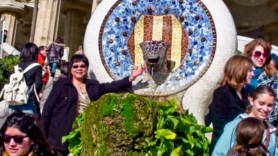 Lizard at Gran Paca, Parc Guell, Barcelona, Spain