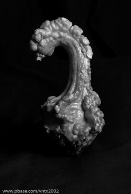DSC_7071.jpg