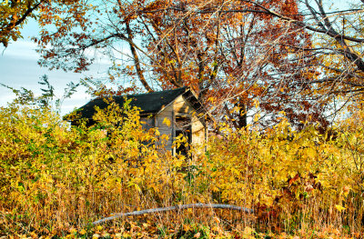 My Favorite Shed...