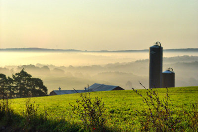 Early Morning Fog