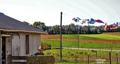 g1/08/808708/3/118521427.1oYoZ7Hu.jpg