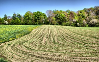 Preparing the Ground