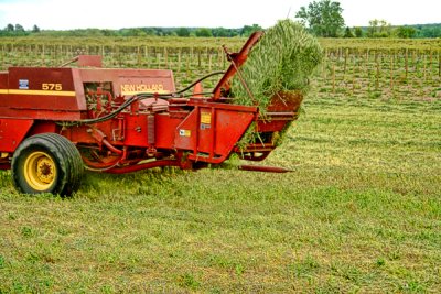 Baling Birdsfoot Trefoil