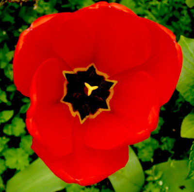 g1/08/852208/3/97908801.YmwjMQDl.jpg