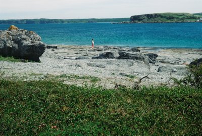 View of coastal Newfoundland with the C. bulbosa site in the foreground. Burnt Cape Ecological Reserve. 7/14/07 jpg