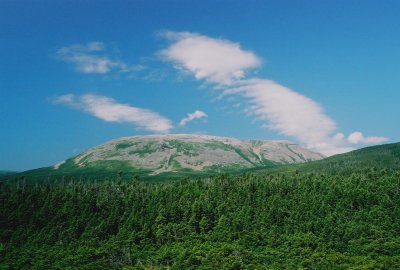Gros Morne.