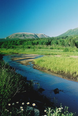 Gros Morne Nat'l Park.