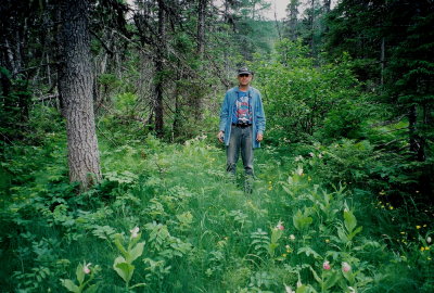 Orchid habitat, Lomond River Trail.
