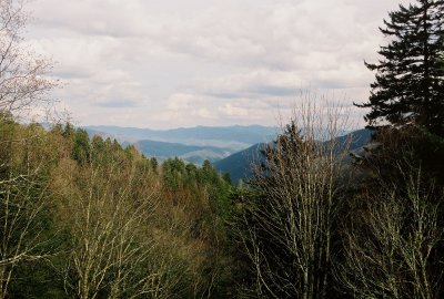 View into South Carolina from Newfound Gap. Great Smoky Mountains Nat'l Park.