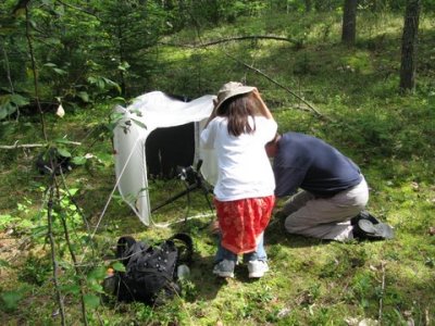 115) Tom and his little helper setting up to photograph Spiranthes lacera. (Steve Baker)