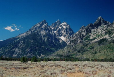 11)