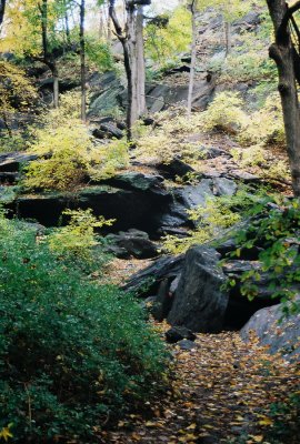 14) The Indian Caves at the site of a Lenape Native American Village.