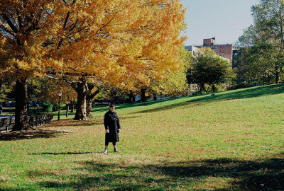 18) Autumn scene.