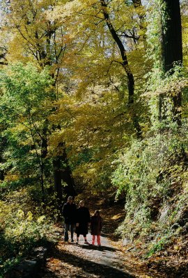 19) Lots of nice walking trails in the park.