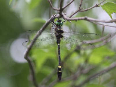 g1/08/900808/3/125587072.QWIrXIFZ.jpg
