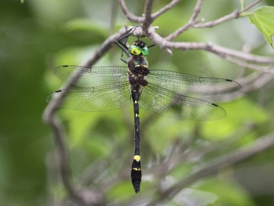 g1/08/900808/3/125612101.TdJkJ8rv.jpg