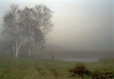 Misty Pond