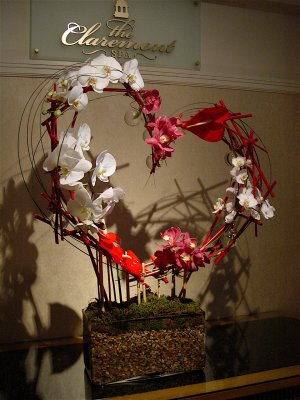 valentine's day 2008 (side view)