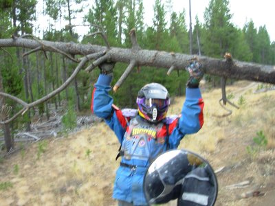 Doug Playing Hulk and Throwing a Tree off the Trail