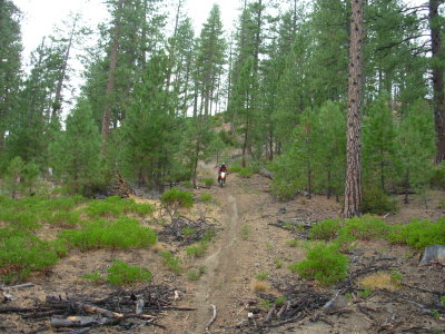 Doug Riding Down the Hill Climb