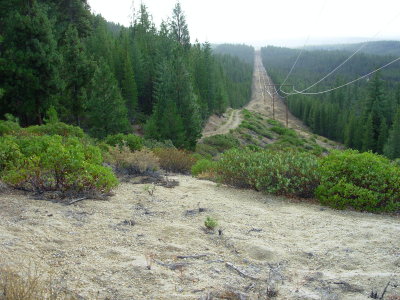 Eastside Powerline Rd looking South