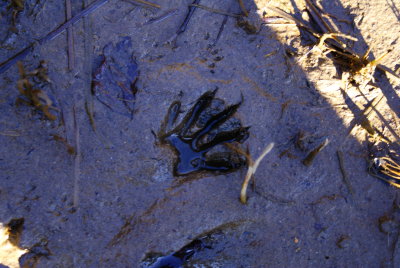ride to yachats 2-3-09 009.jpg
