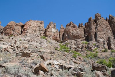 Clarno Pillars