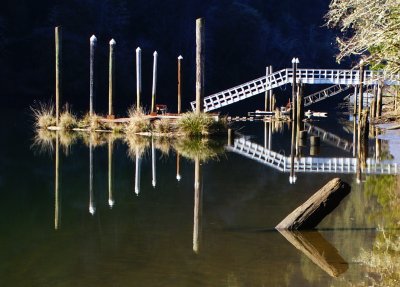 Reflections on the Siuslaw River.jpg