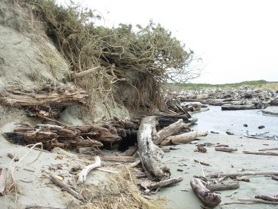 oregon_coast_shipwrecks