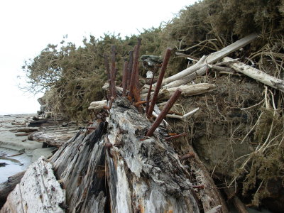 Bottom of shipwreck