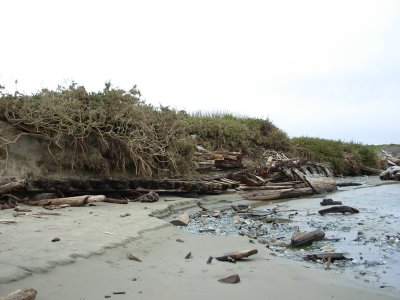 ShipWreck #2