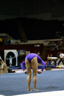 120048_gymnastics.jpg