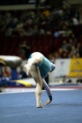 120098_gymnastics.jpg