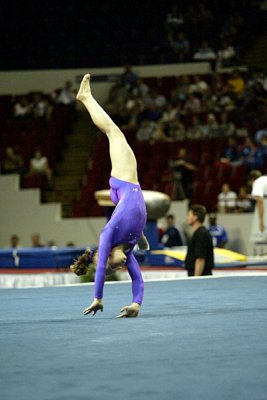 120173_gymnastics.jpg