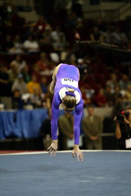 120335_gymnastics.jpg