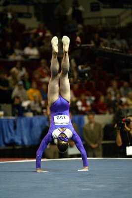120336_gymnastics.jpg