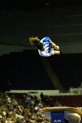 120376_gymnastics.jpg