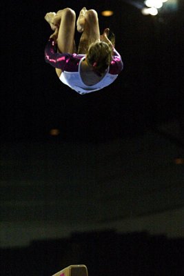 120409_gymnastics.jpg