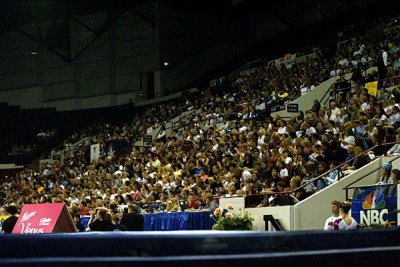 120420_gymnastics.jpg
