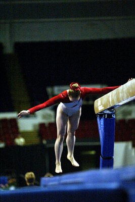 120462_gymnastics.jpg