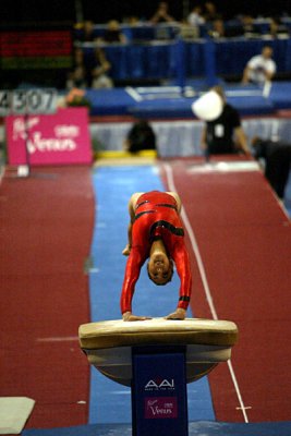 130238_gymnastics.jpg