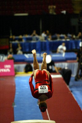 130242_gymnastics.jpg