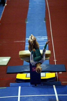 130295_gymnastics.jpg